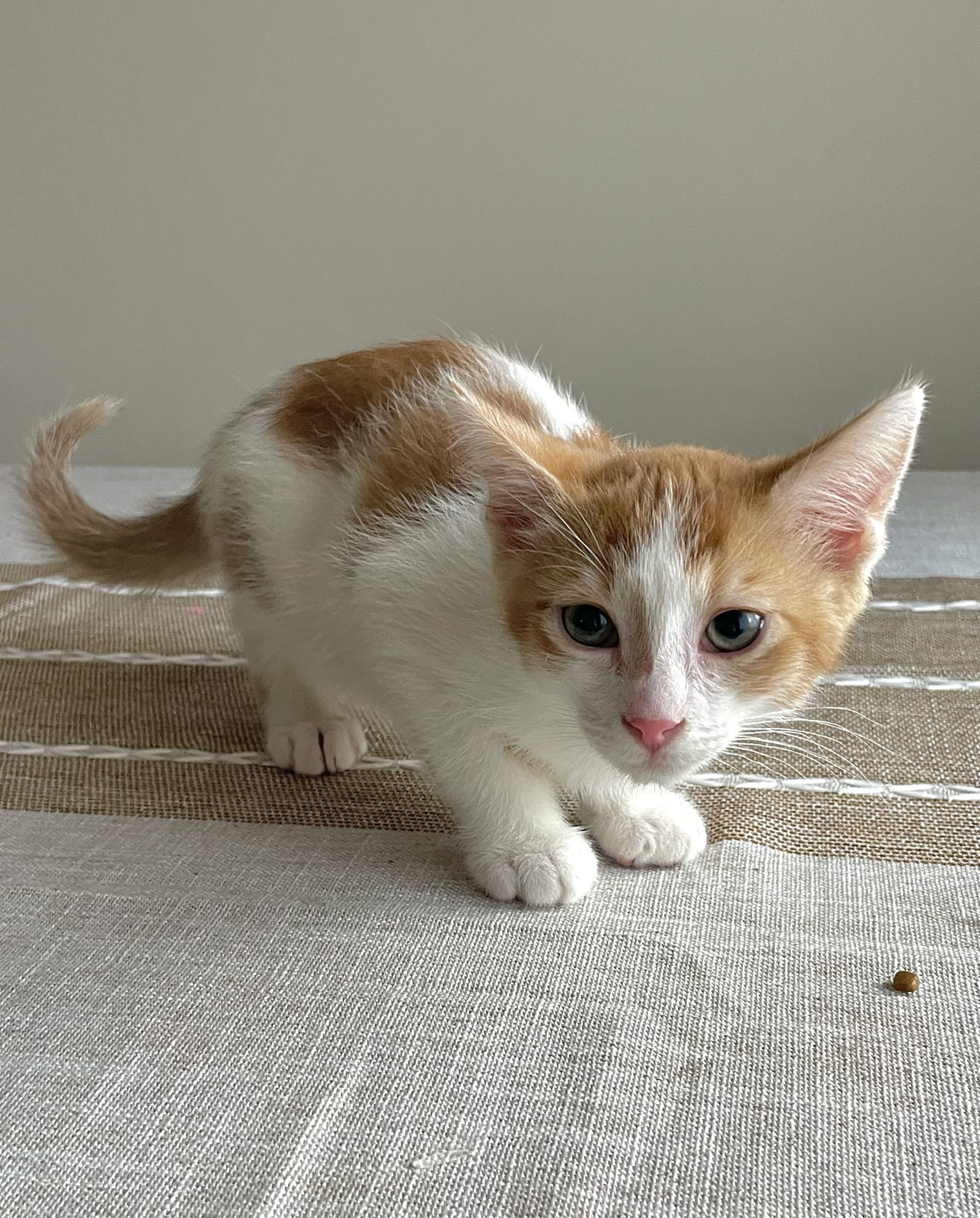 Sam