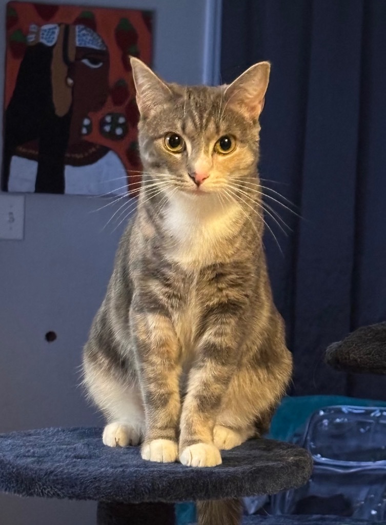 Eloise