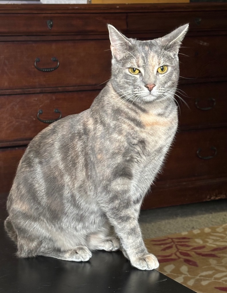 Penelope