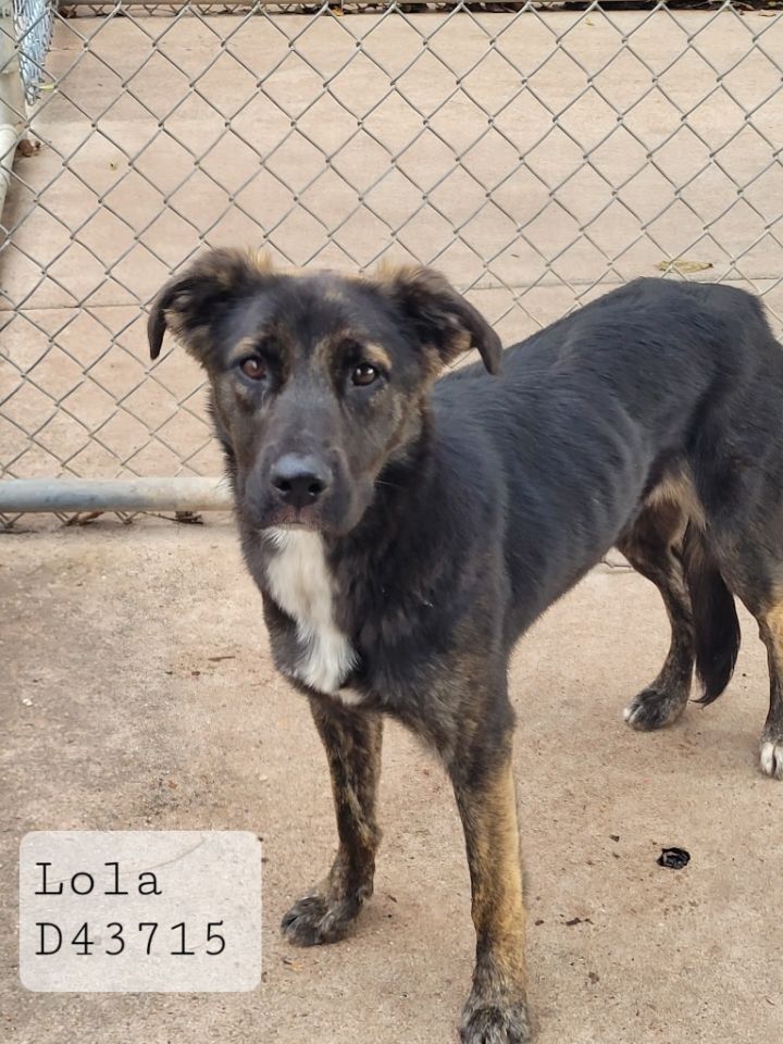 Lola 1