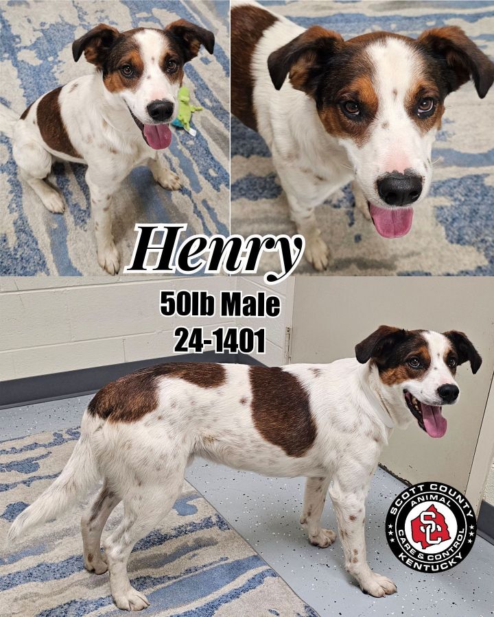 Henry 1