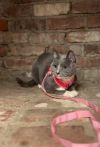Princess photo 2