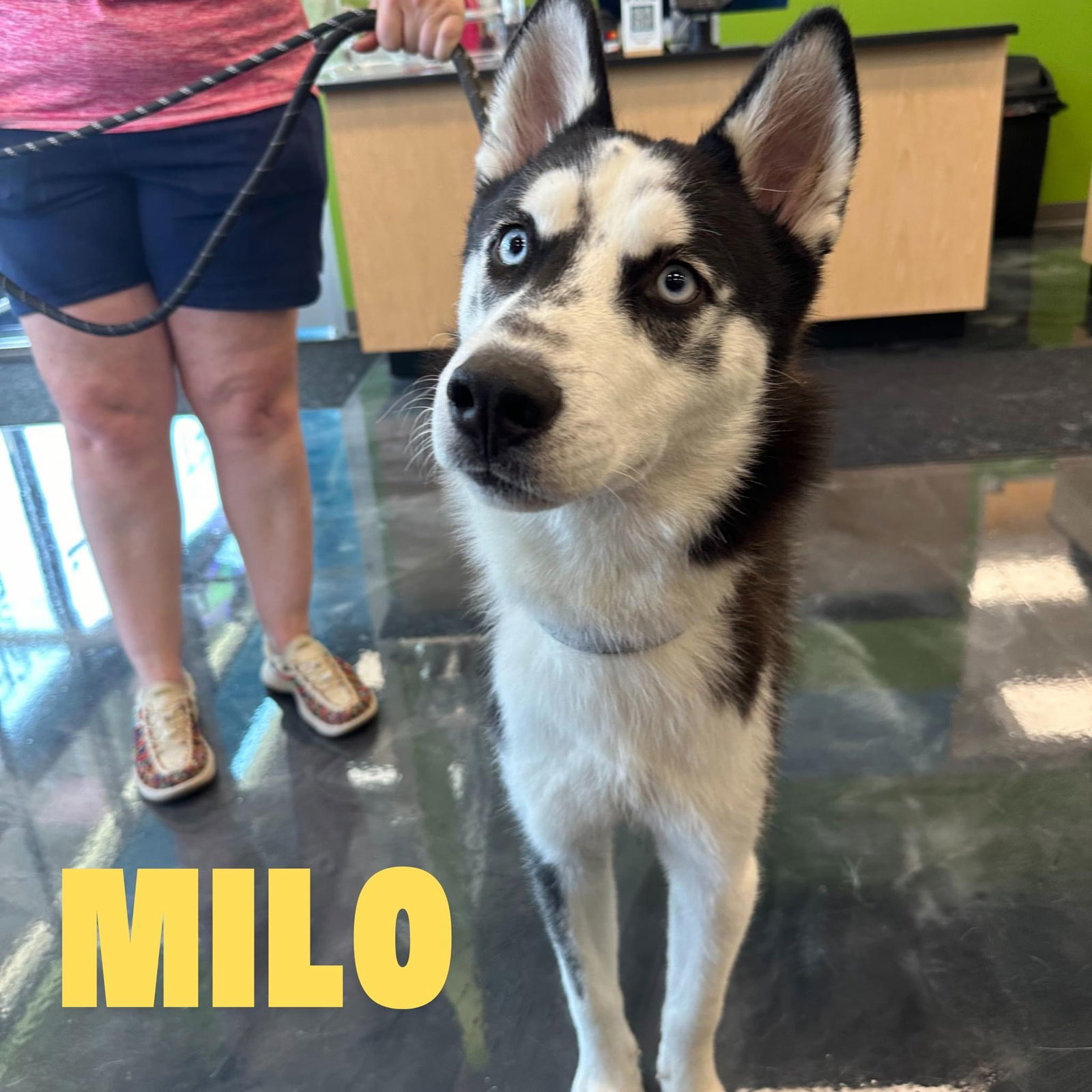 Milo