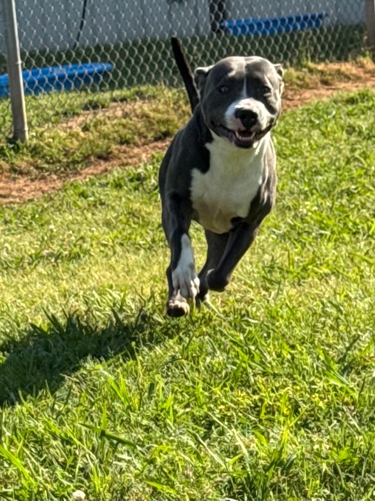 Pete