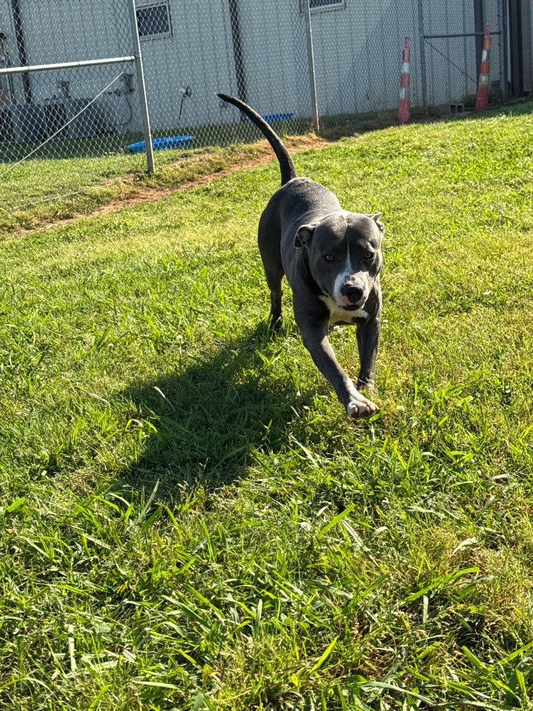 Pete