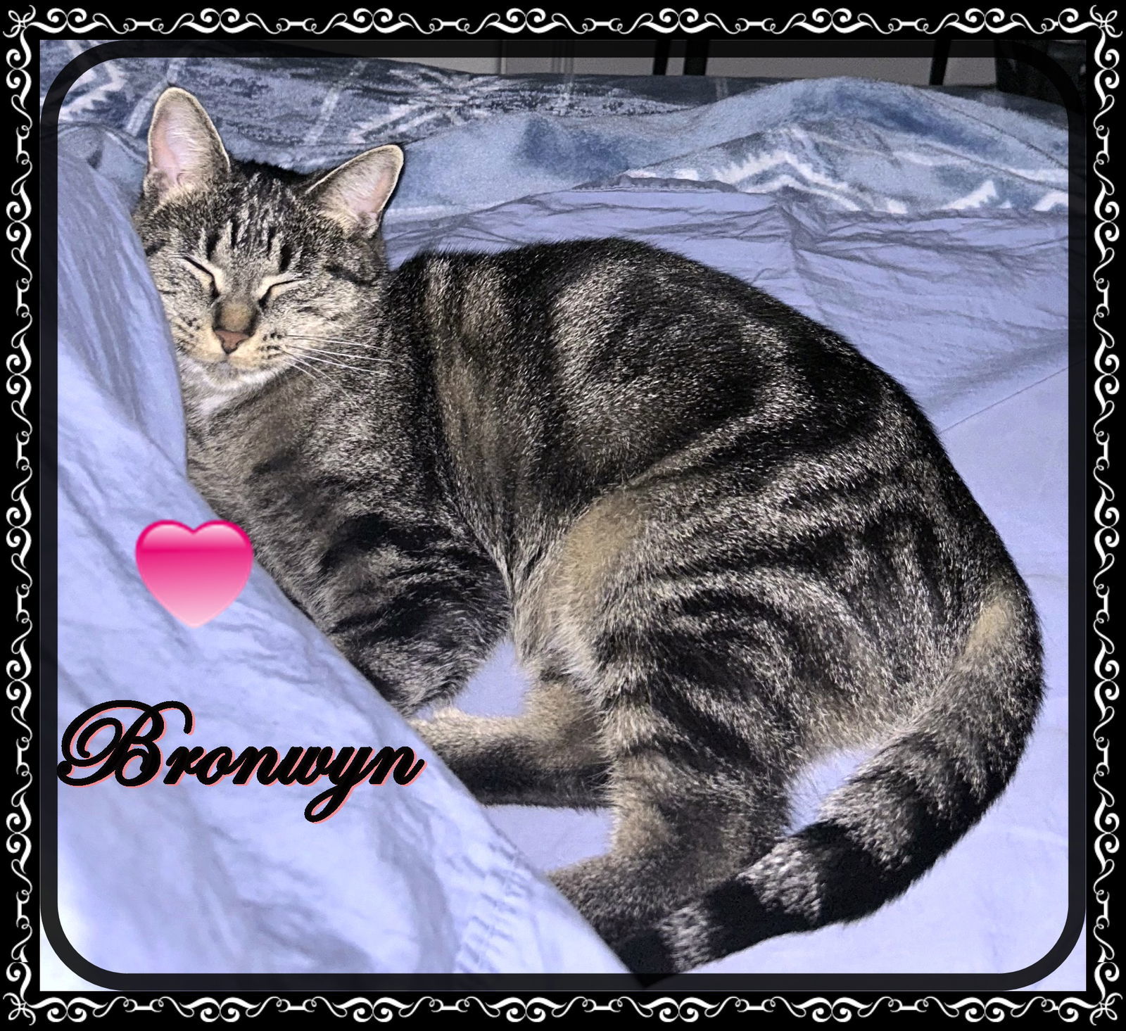 BRONWYN