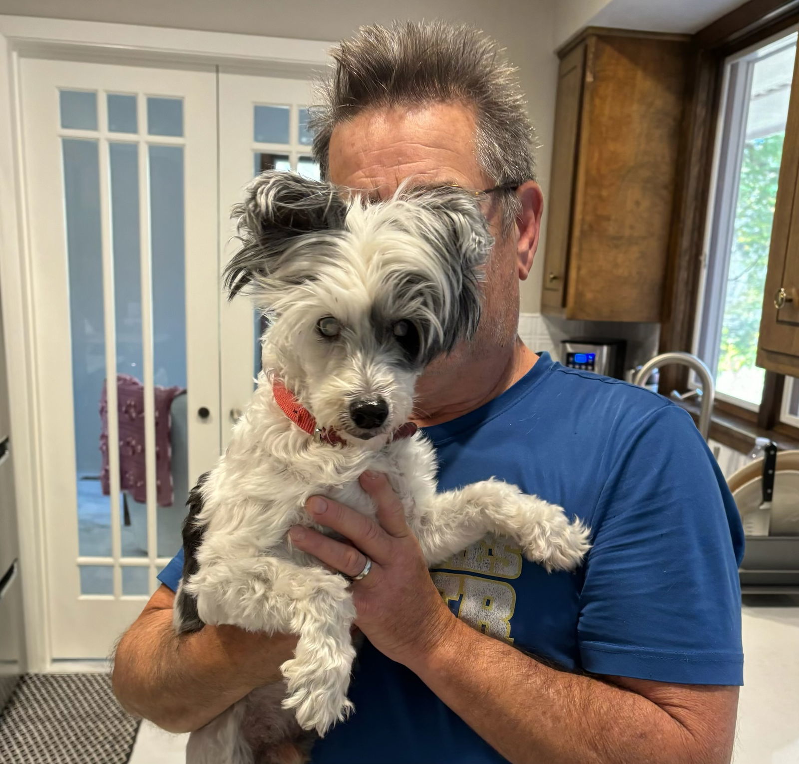 Patches, an adoptable Chinese Crested Dog in Estherville, IA, 51334 | Photo Image 3