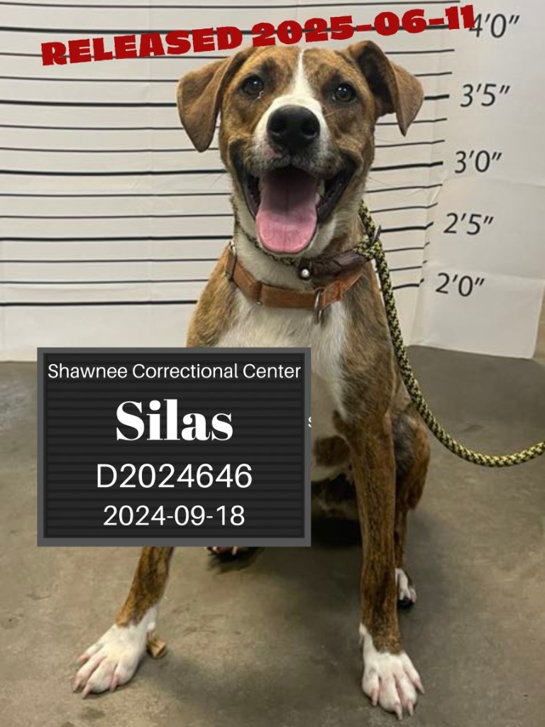 Silas