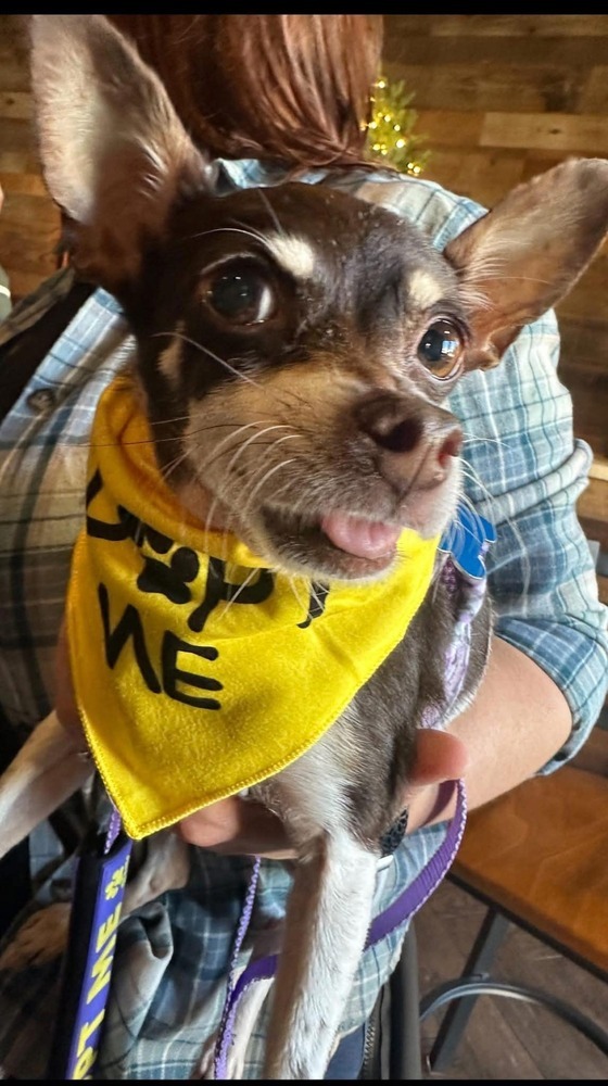 Hazel