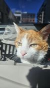 Jack photo 2