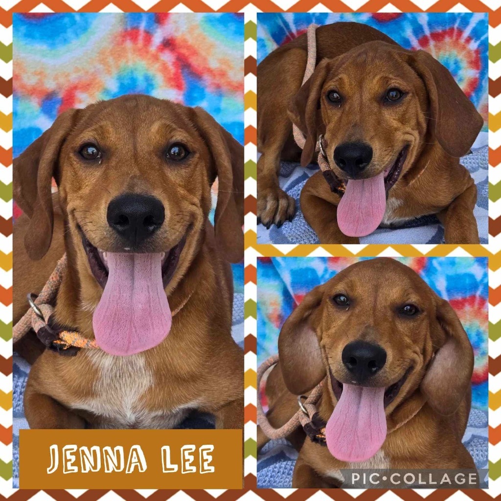 Jenna Lee
