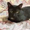 Jonesy photo 2