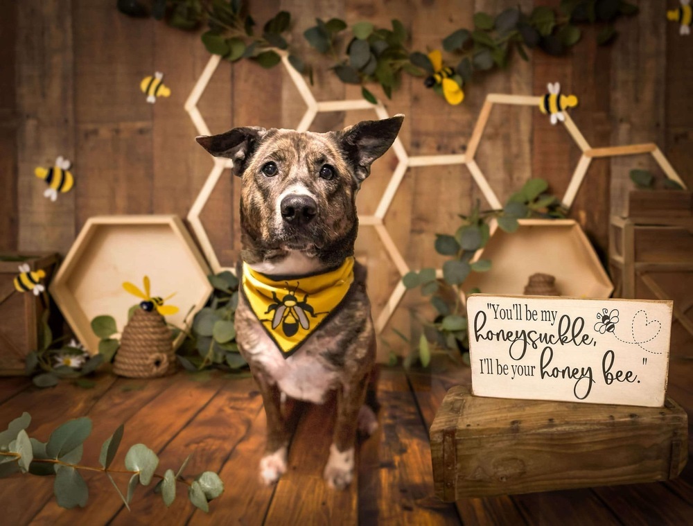 Honey (24-142 D)