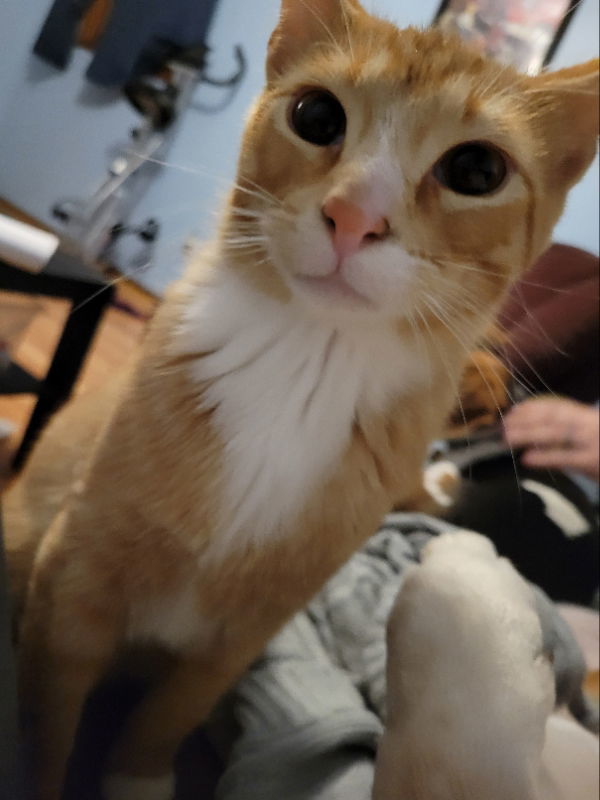 Rusty