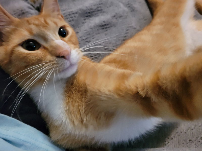 Rusty