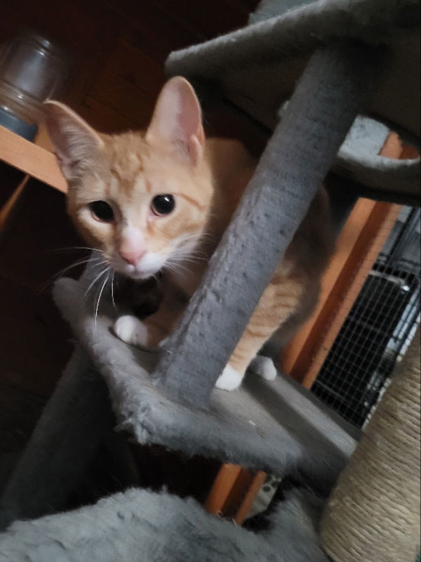 Rusty
