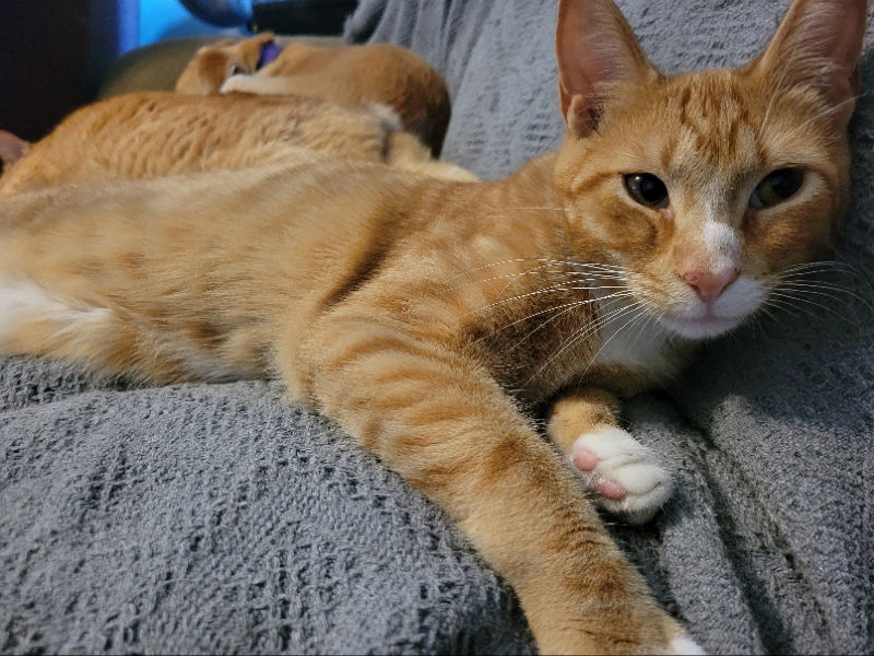 Rusty
