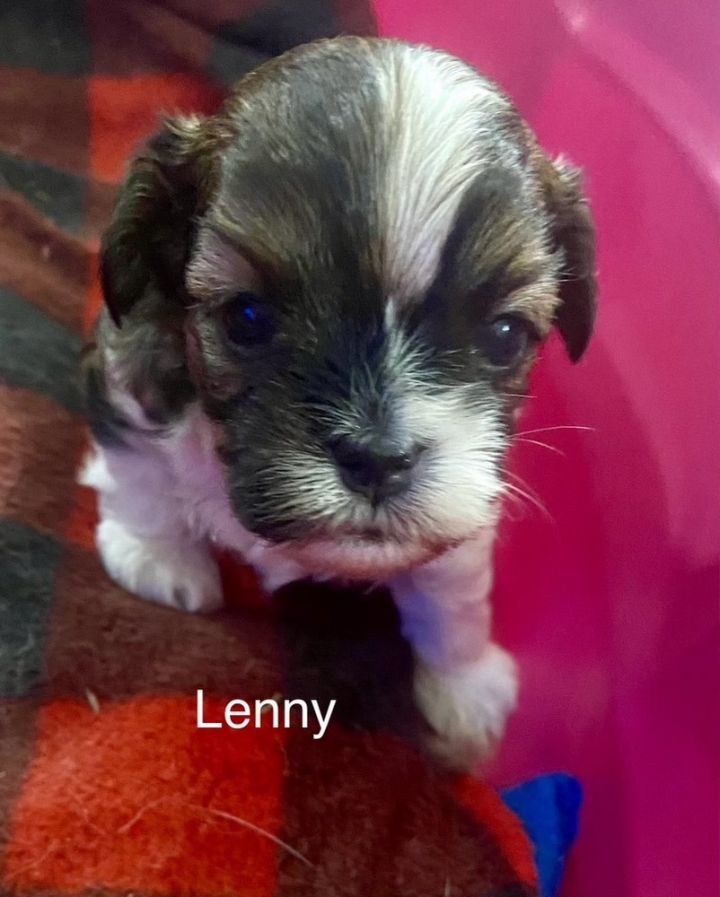 Lenny 1