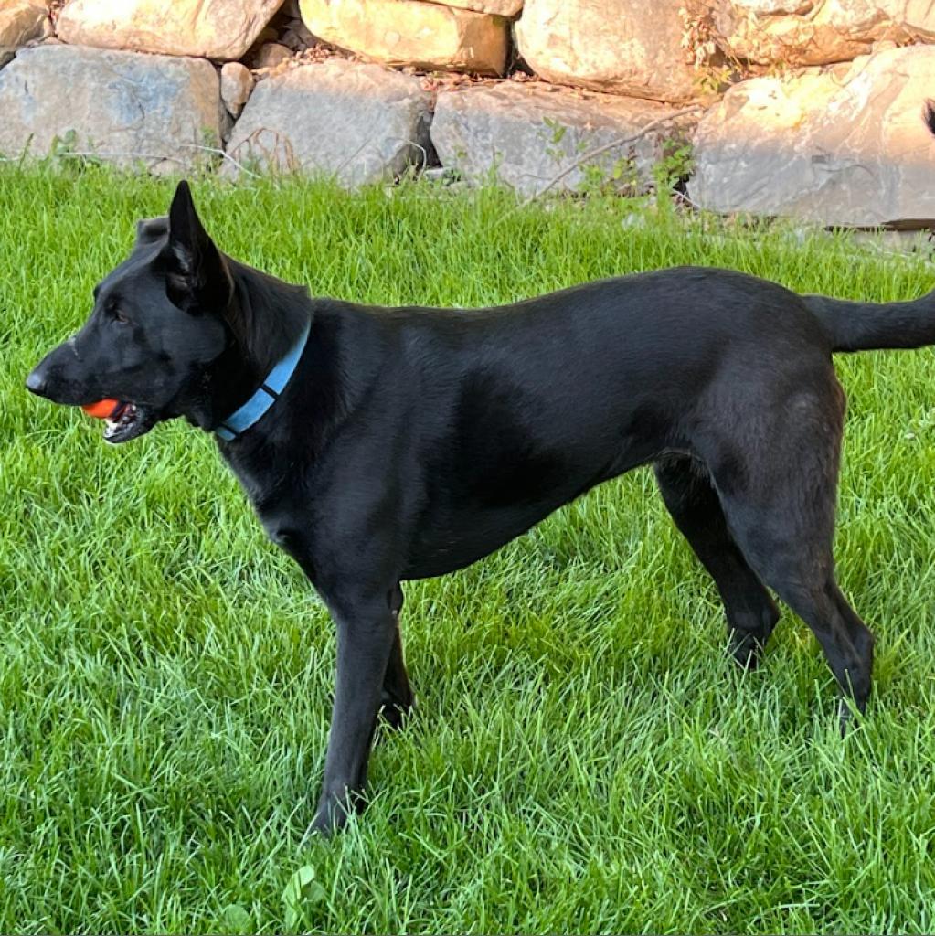 Shadow