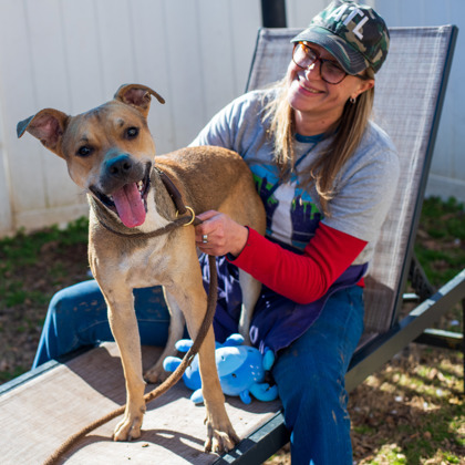 Morrison - IN FOSTER