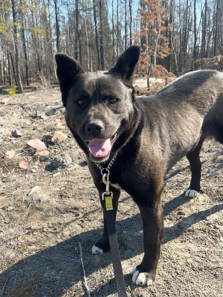Yukon