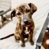 Delilah photo 1