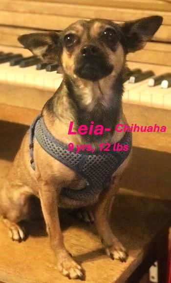 Leia