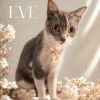 Eve photo 1