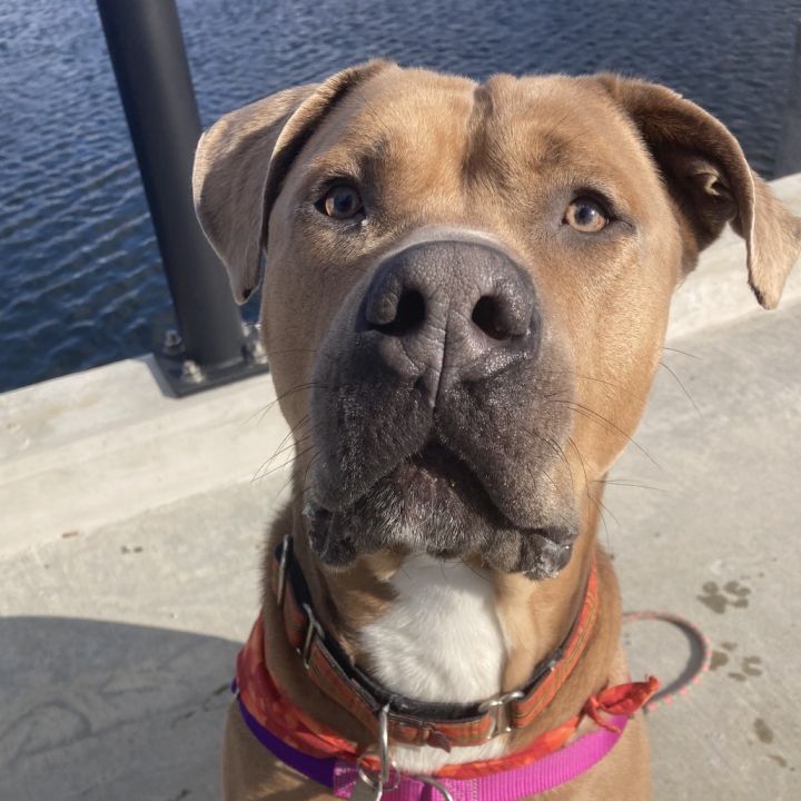 Reese 6