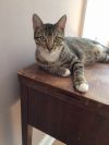 Shirley photo 2
