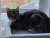 Shirley photo 3
