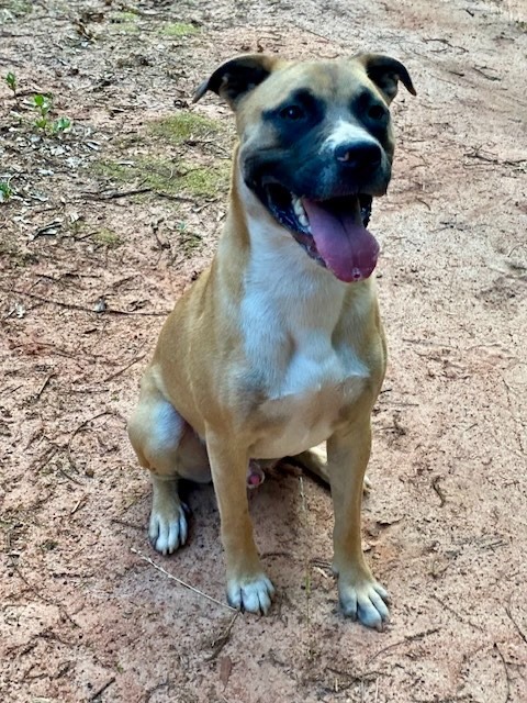 Oscar