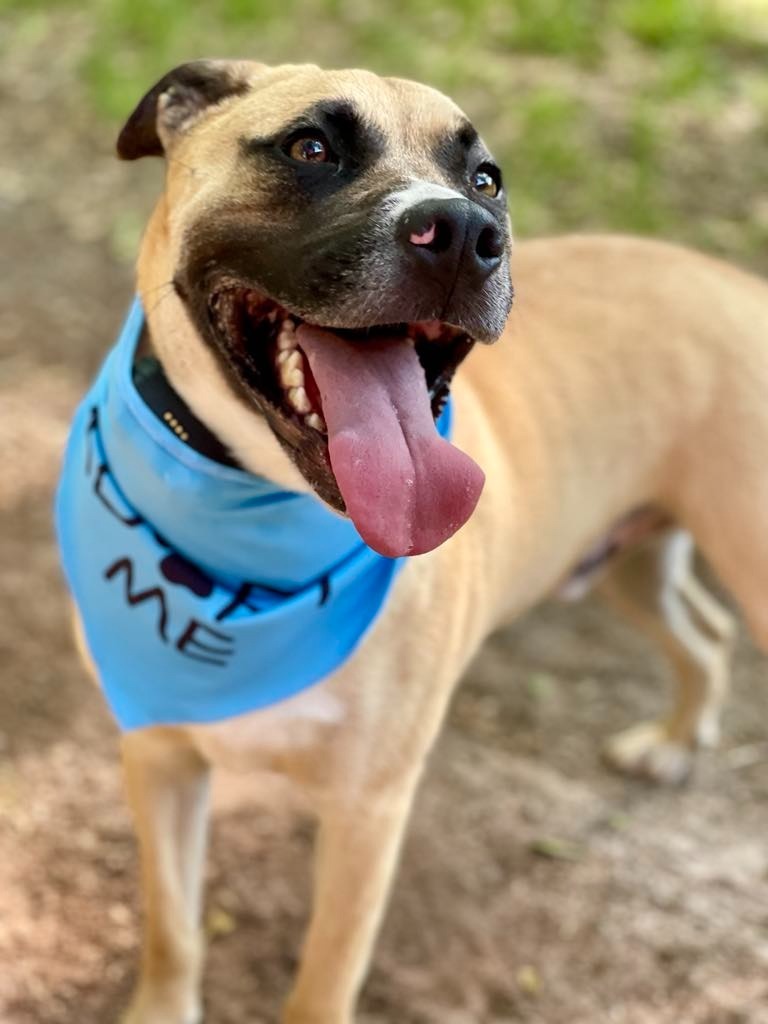 Oscar