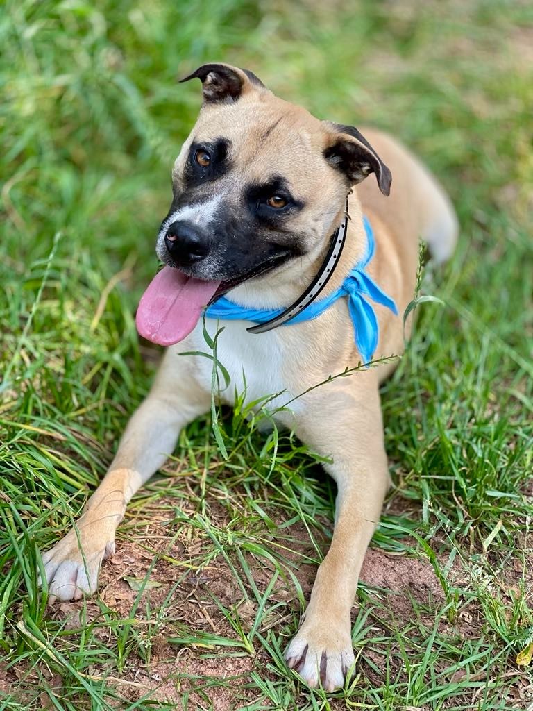 Oscar