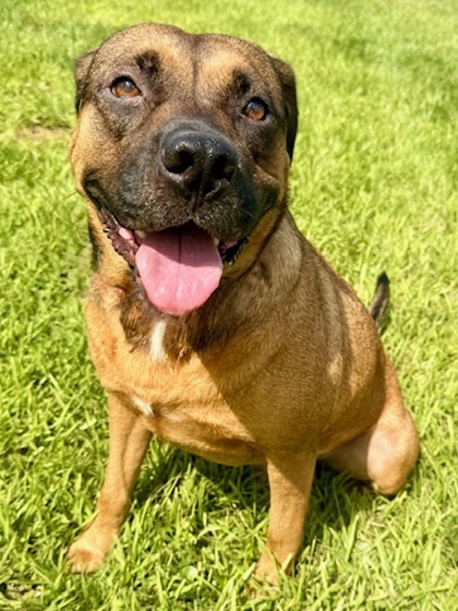 Max