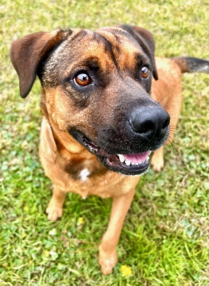 Max