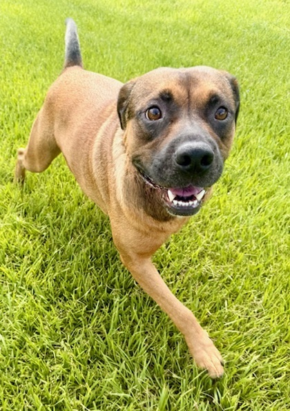 Max