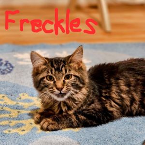 Pixie's Babies - Freckles