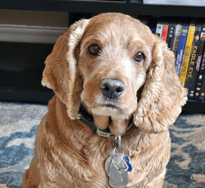 Buster N 24-23028-2 1