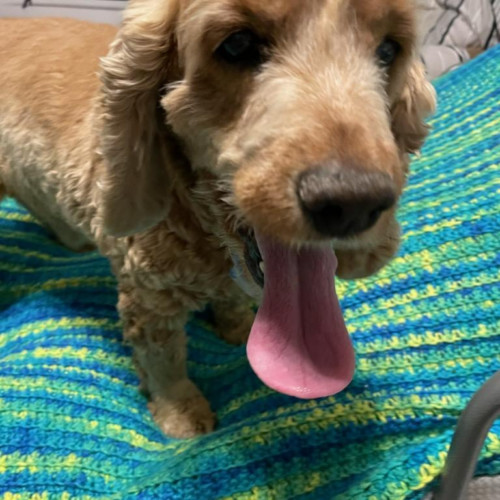 Buster N 24-23028-2 6