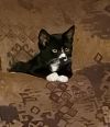 Lagniappe photo 3