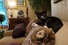 Lagniappe photo 4