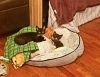 Lagniappe photo 5