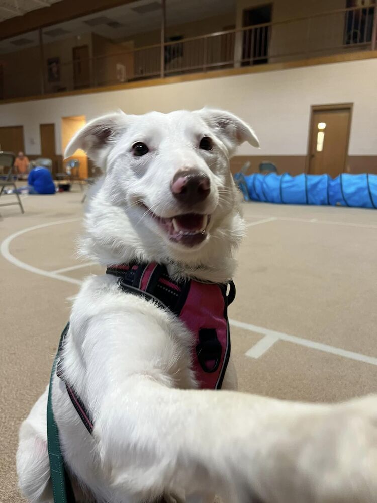 Tina (aka Eowyn)