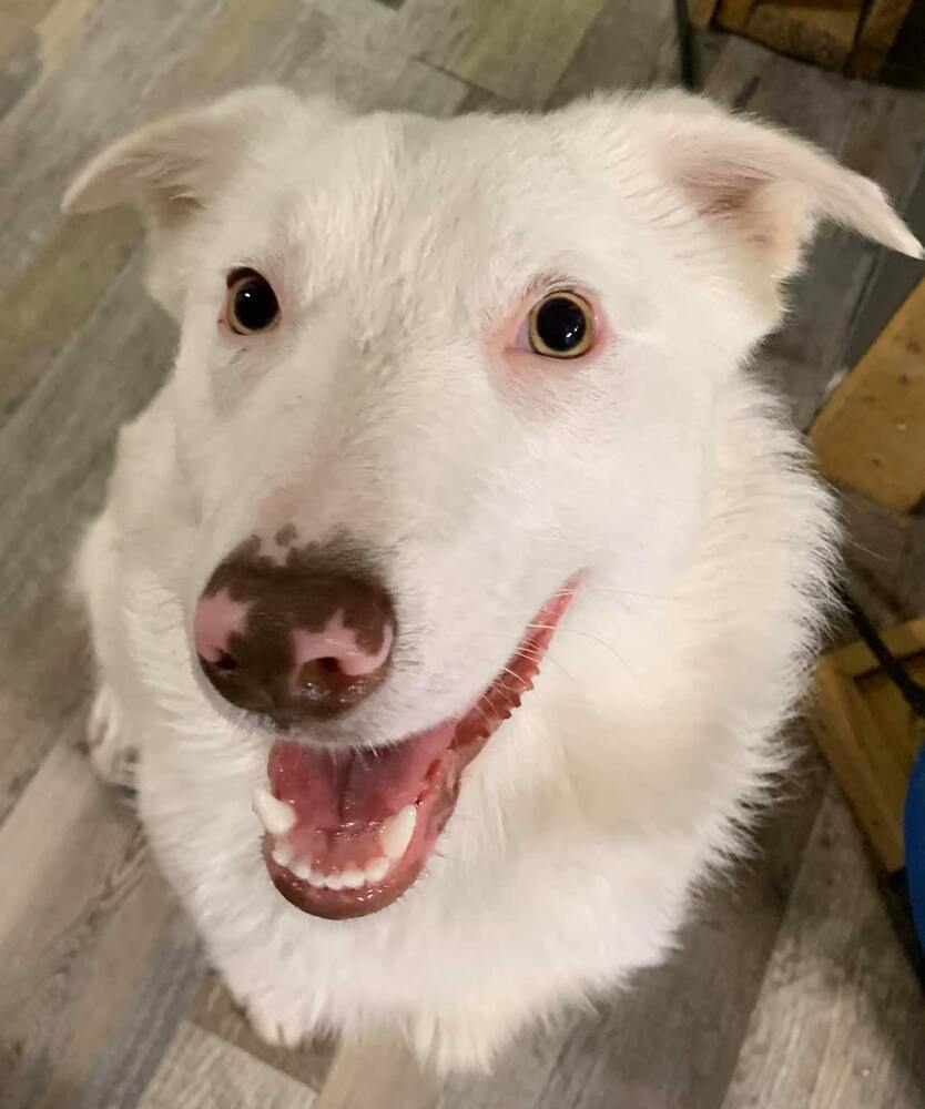 Tina (aka Eowyn)