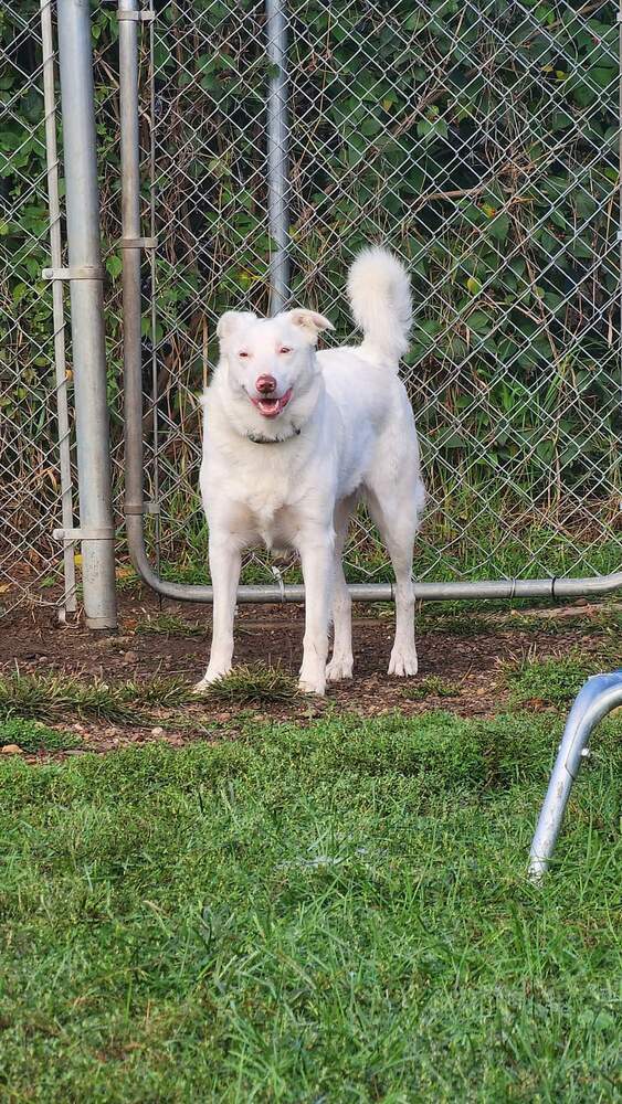 Tina (aka Eowyn)