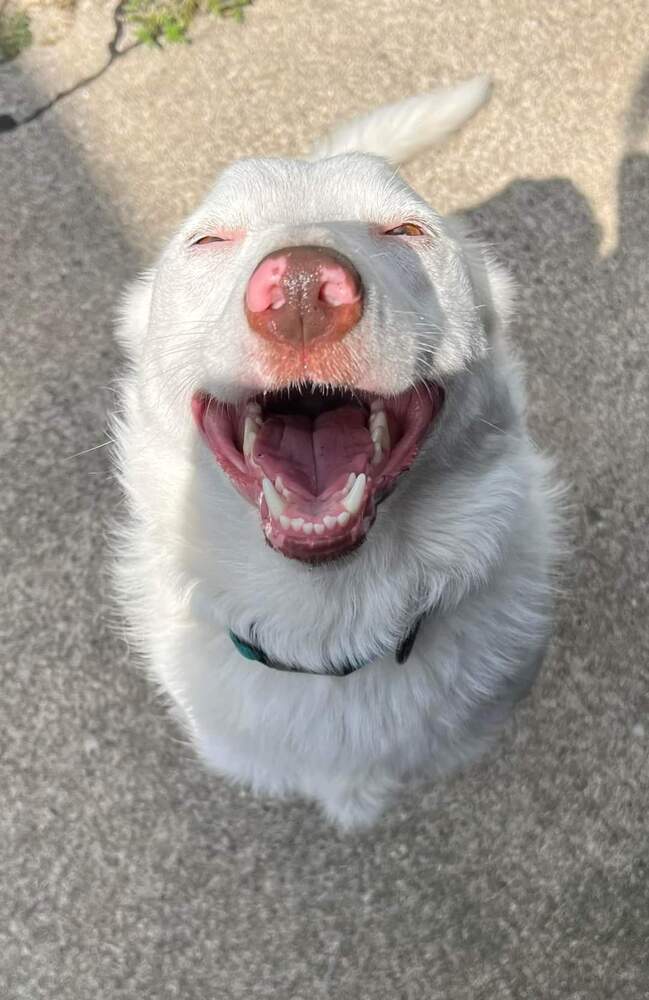 Tina (aka Eowyn)