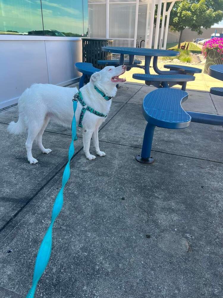 Tina (aka Eowyn)