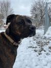 Lola photo 4