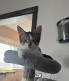 Ruthie photo 6